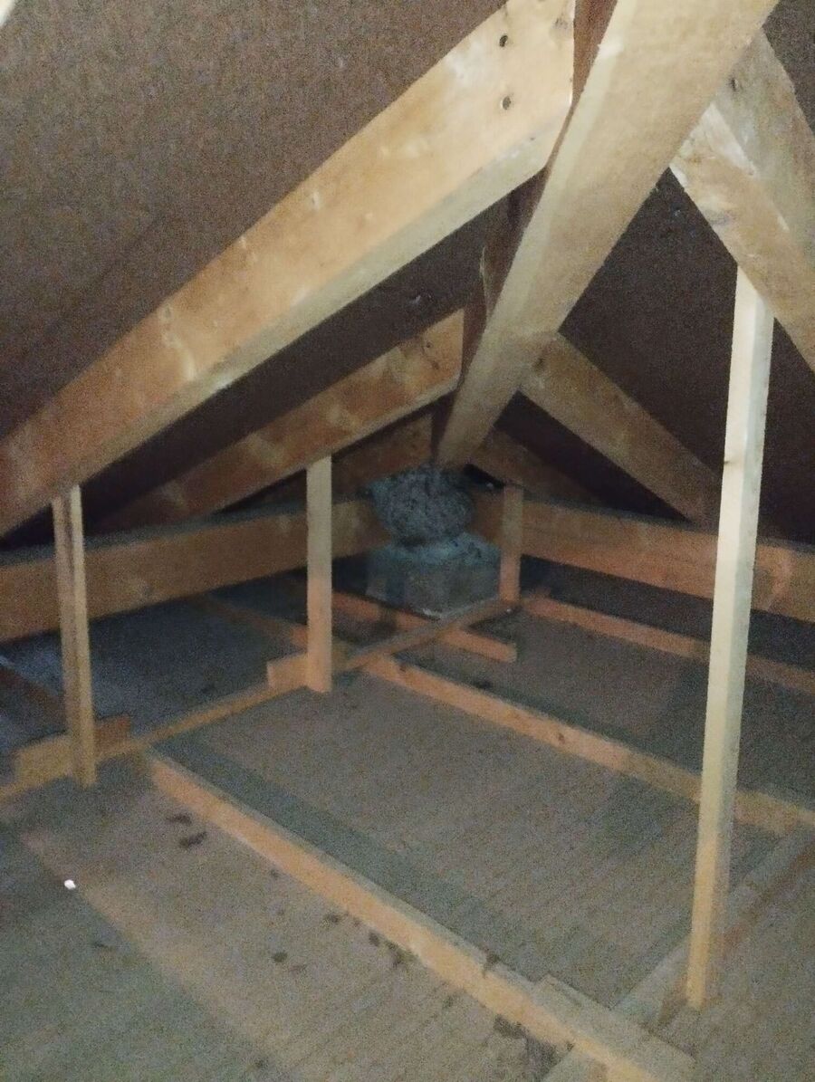  Bienennest entfernen.jpeg