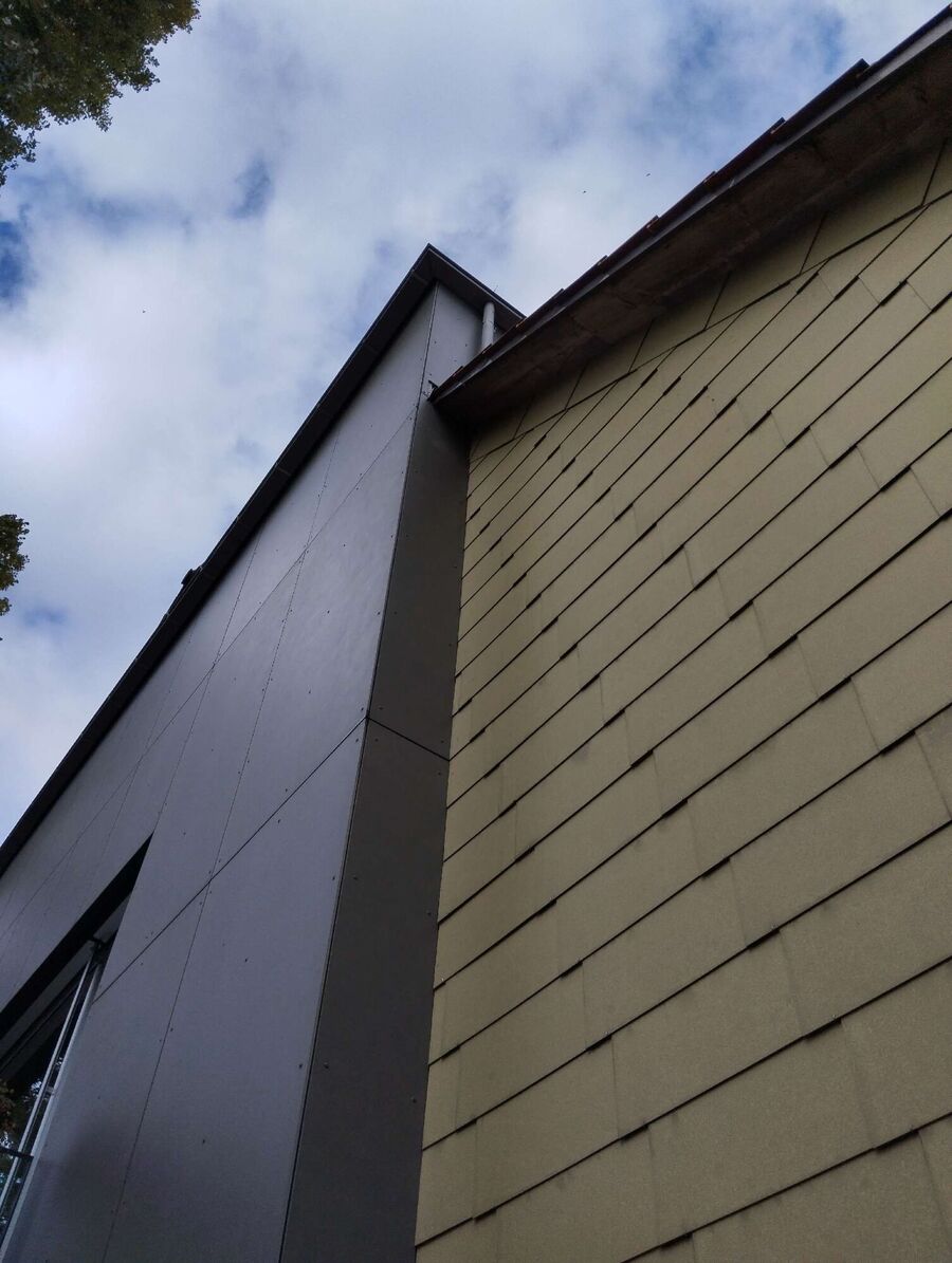  Bienennest entfernen