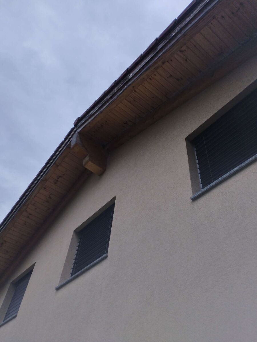  Bienennest entfernen.jpeg