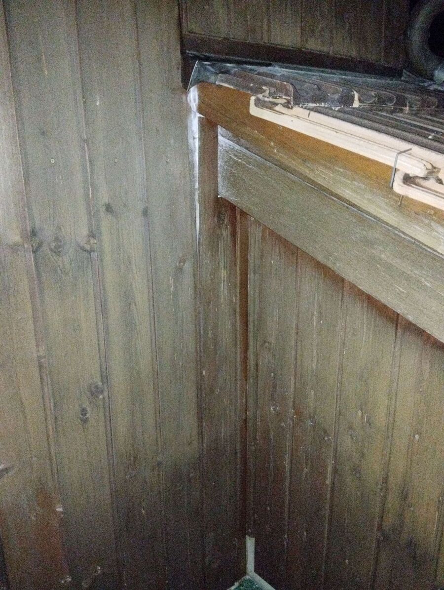  Bienennest entfernen