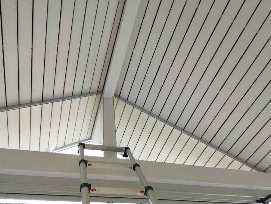  Bienennest entfernen