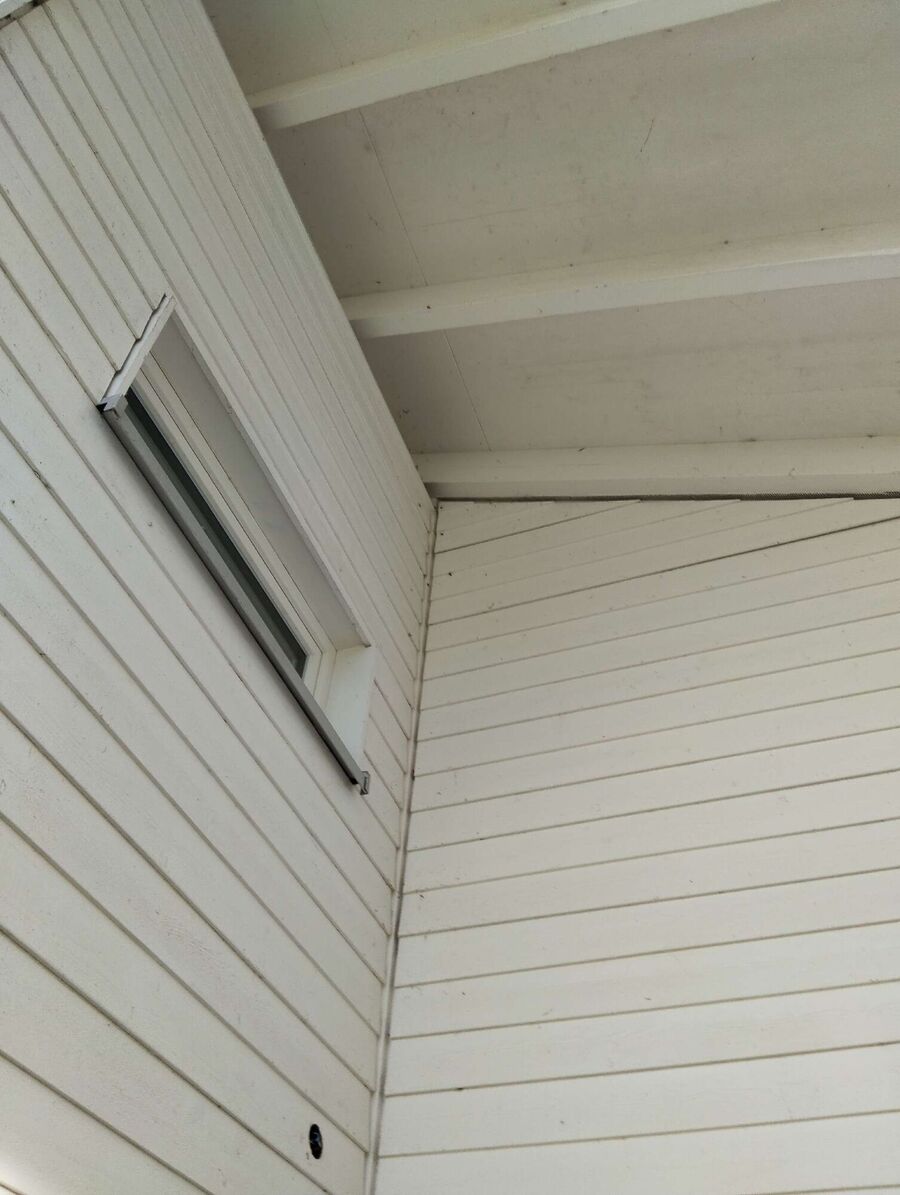 Bienen umsiedeln &  Bienennest entfernen 