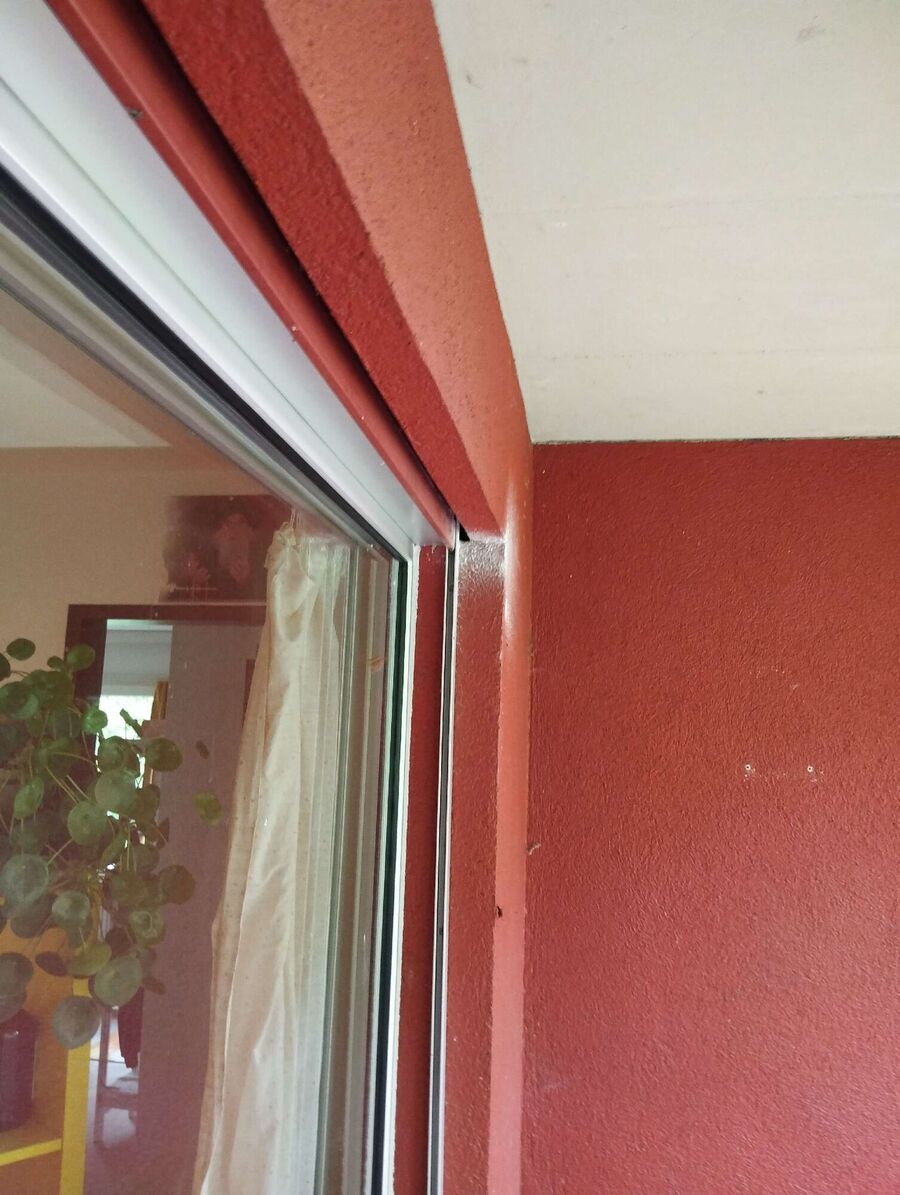 Bienen umsiedeln &  Bienennest entfernen 