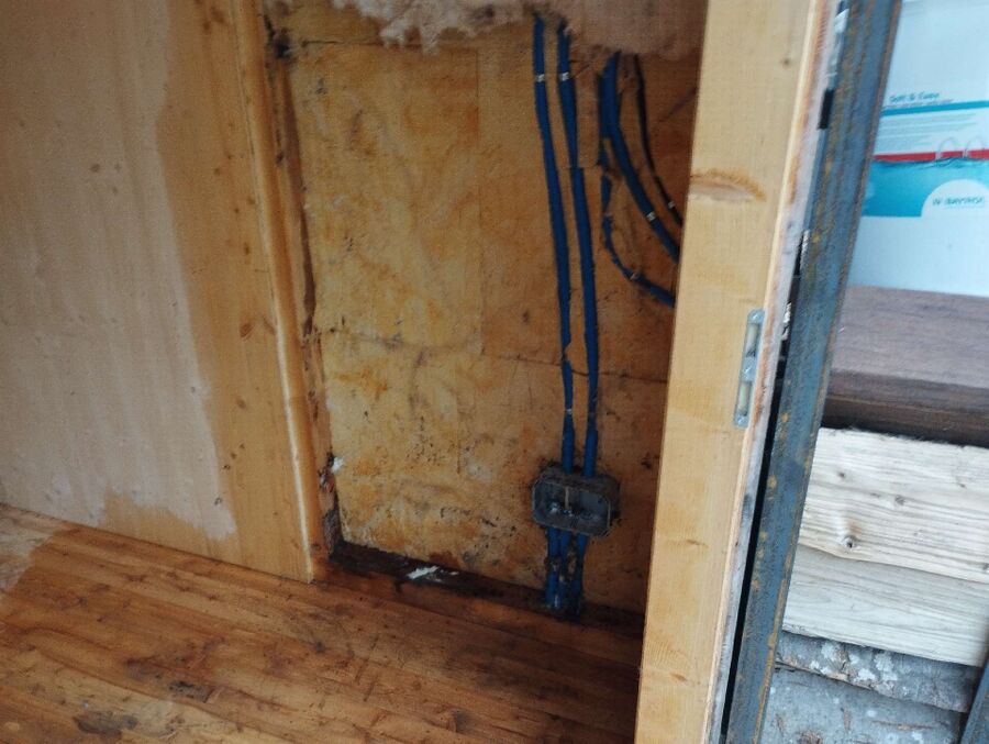  Bienennest entfernen.jpeg