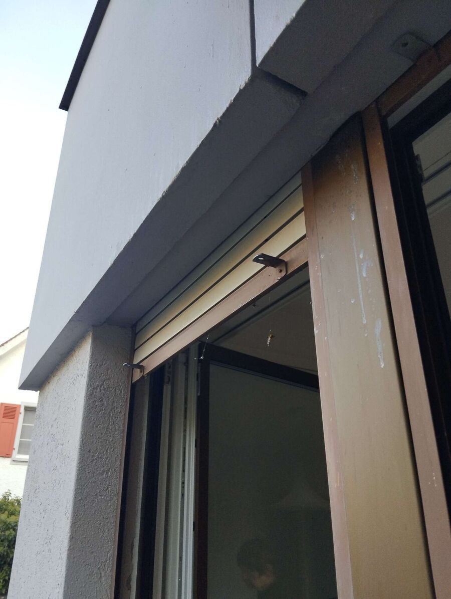 Bienen umsiedeln &  Bienennest entfernen 