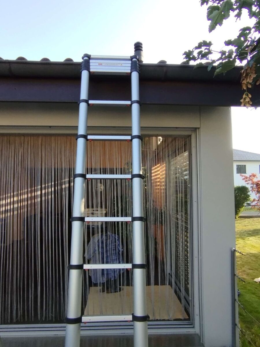  Bienennest entfernen