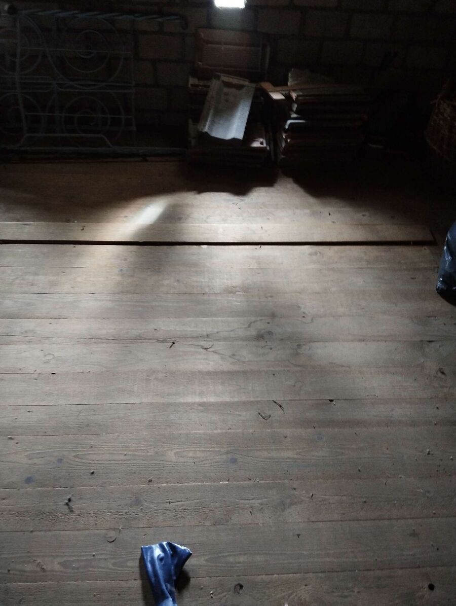  Bienennest entfernen