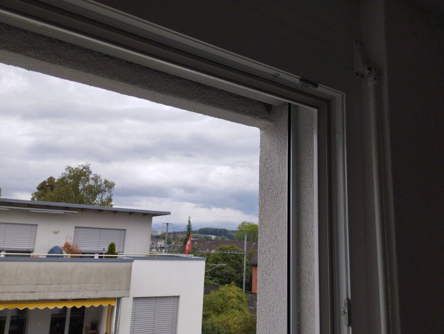  Bienennest entfernen.jpeg