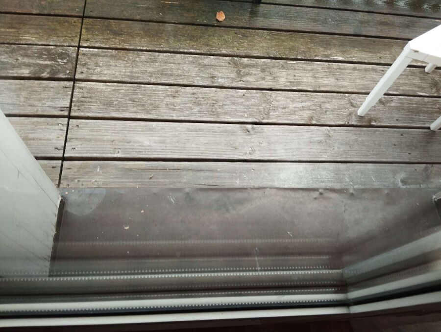  Bienennest entfernen