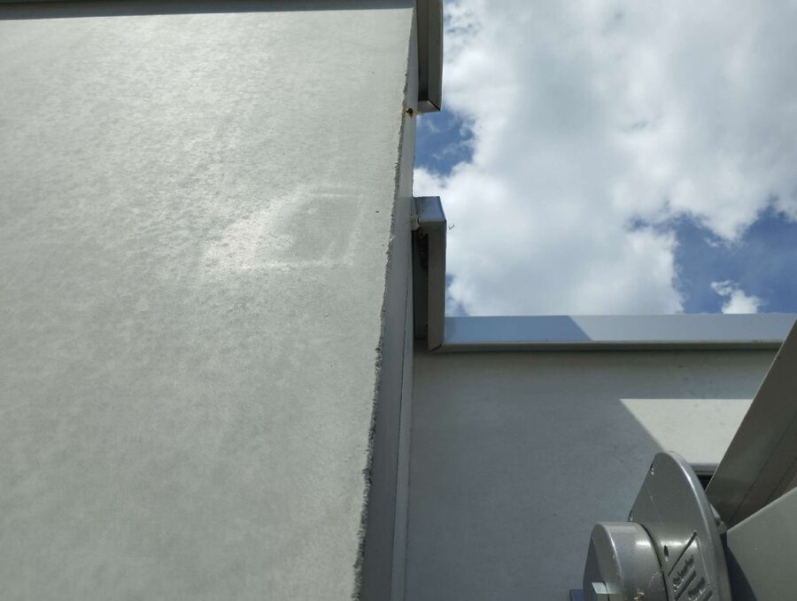  Bienennest entfernen