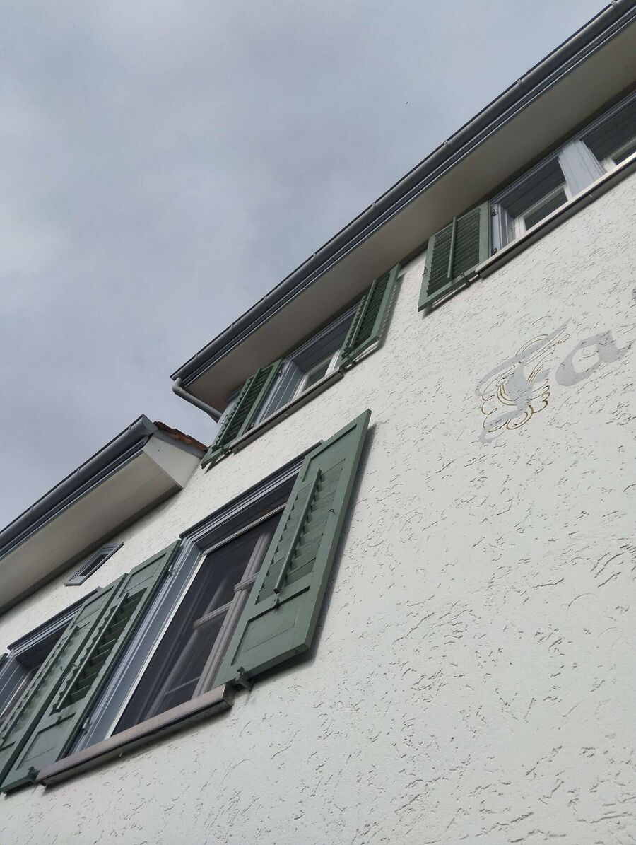 Bienen umsiedeln &  Bienennest entfernen 