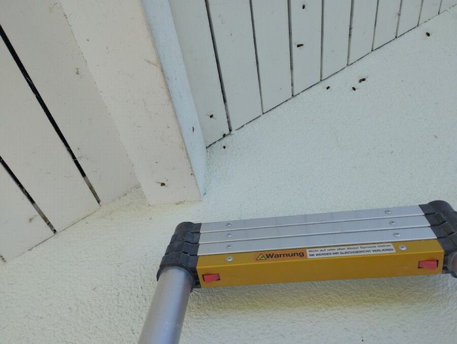  Bienennest entfernen.jpeg