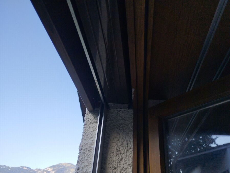 Bienen umsiedeln &  Bienennest entfernen 