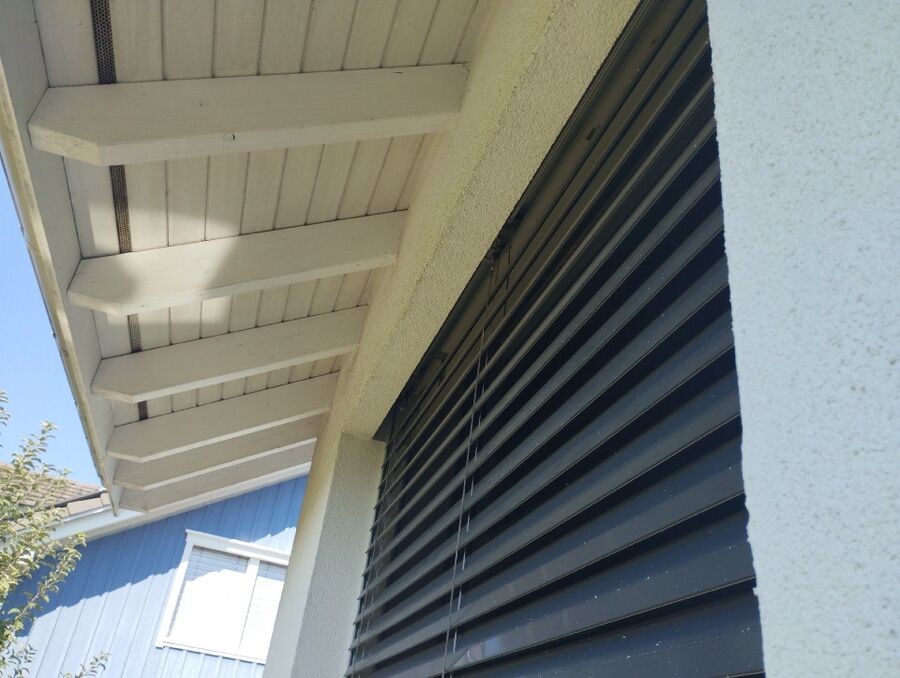  Bienennest entfernen.jpeg