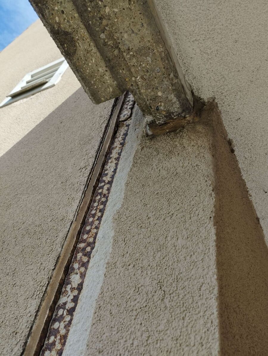  Bienennest entfernen.jpeg