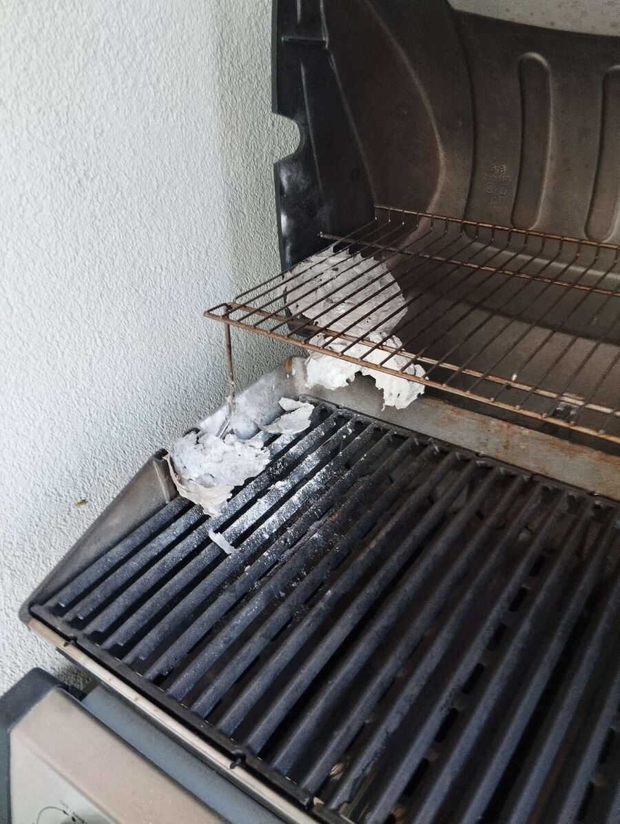  Bienennest entfernen.jpeg