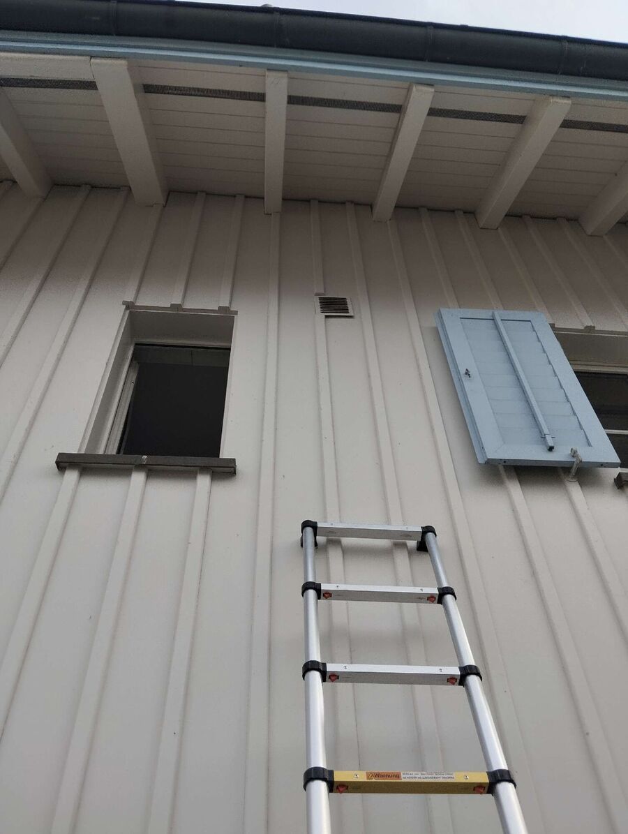  Bienennest entfernen