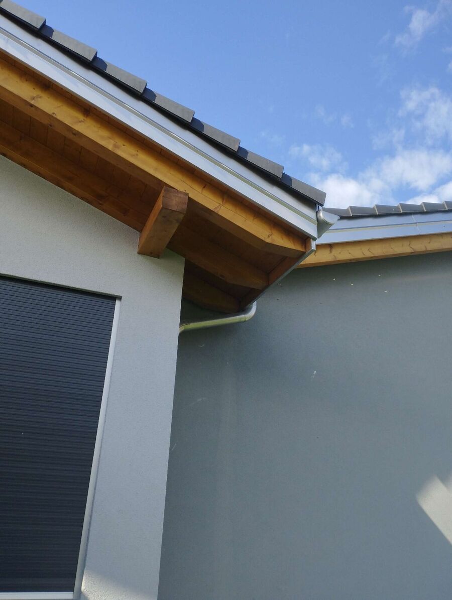  Bienennest entfernen.jpeg