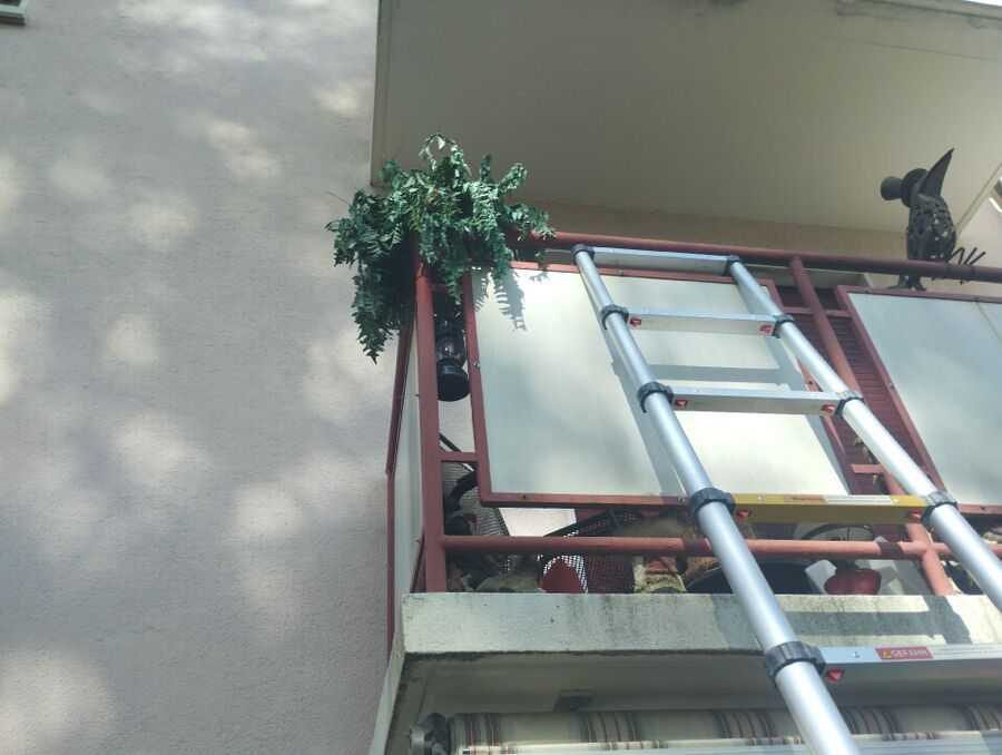  Bienennest entfernen