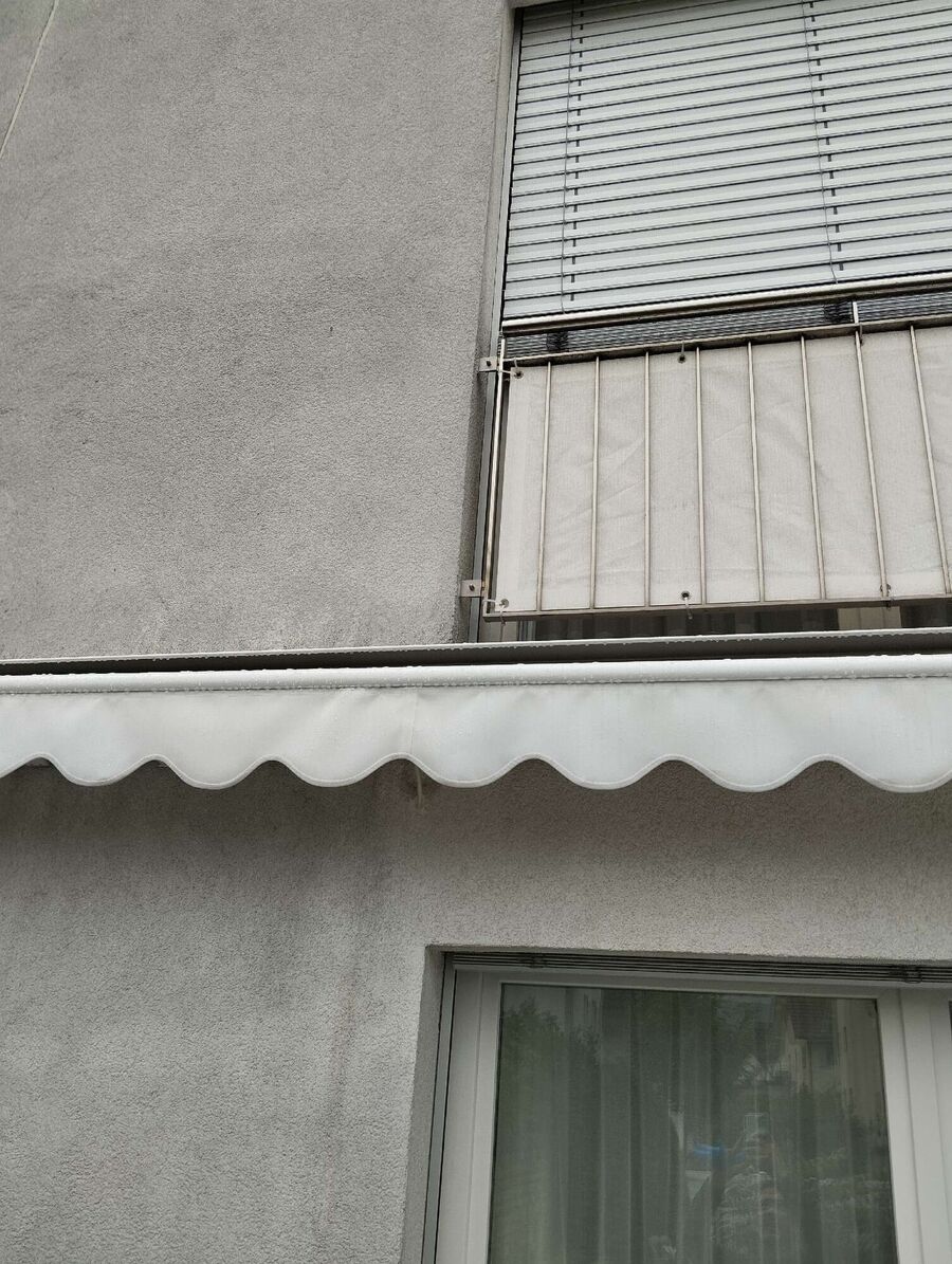  Bienennest entfernen