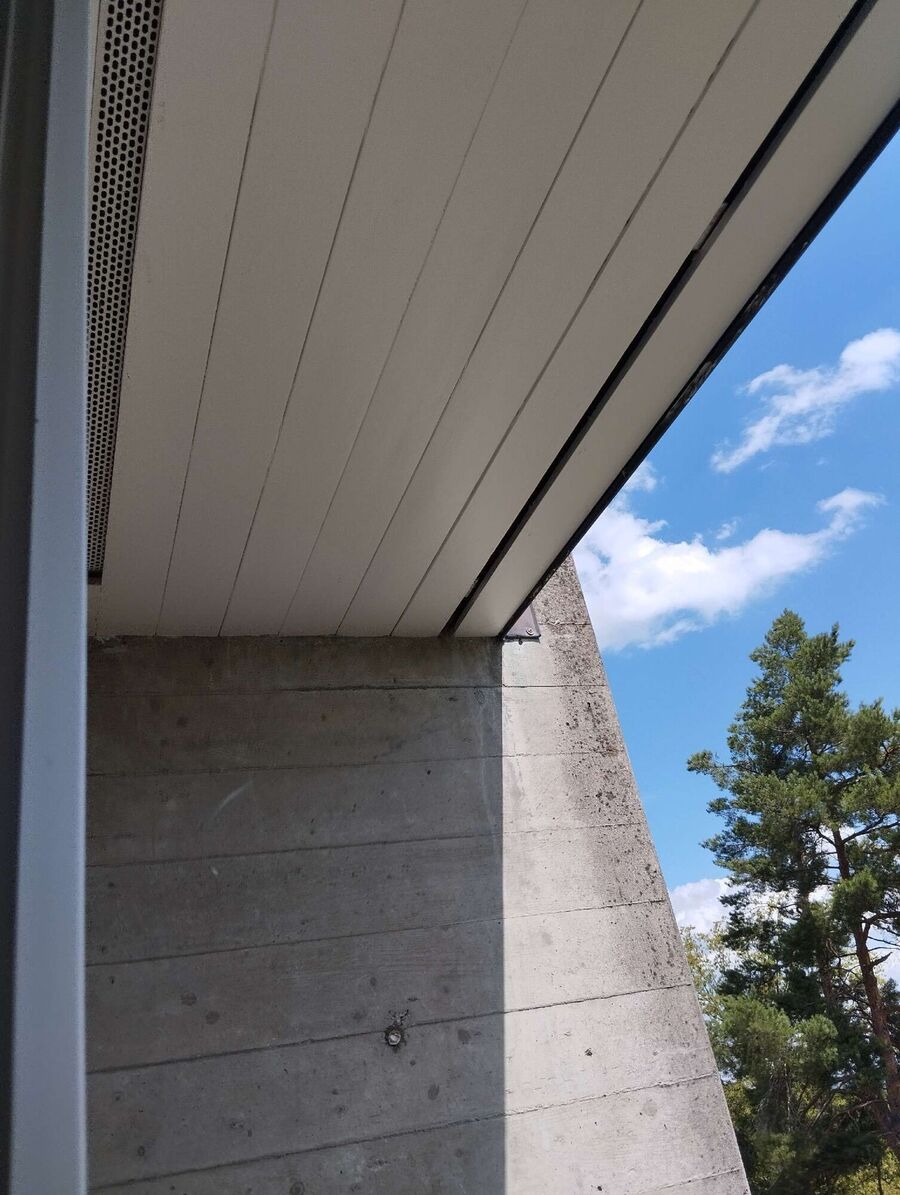  Bienennest entfernen