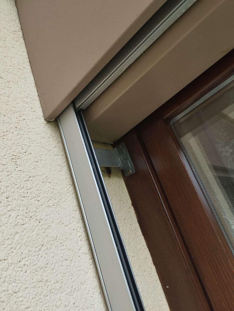  Bienennest entfernen.jpeg