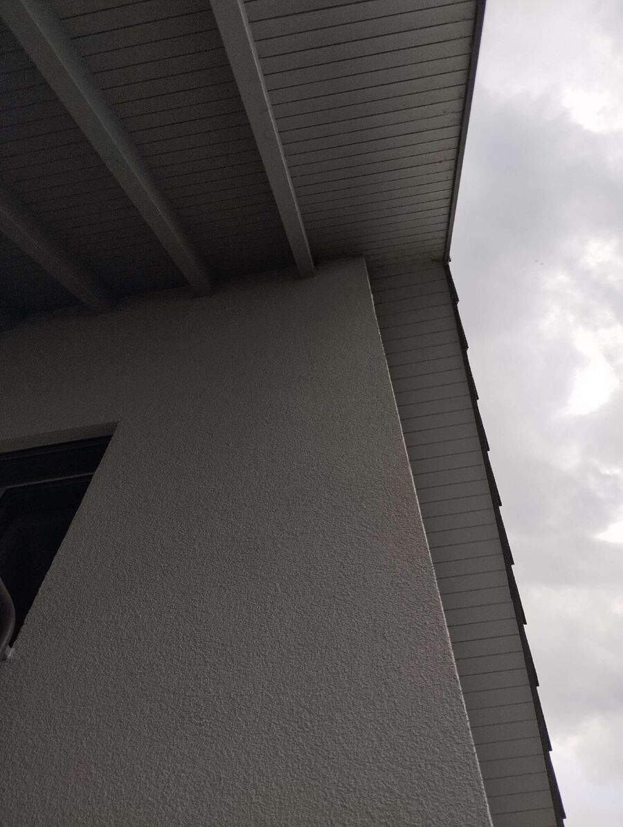  Bienennest entfernen