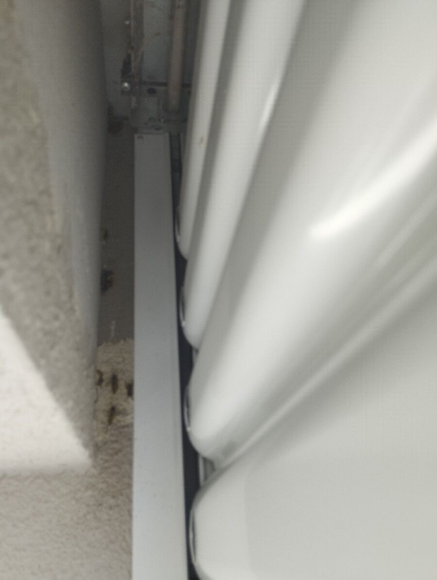  Bienennest entfernen