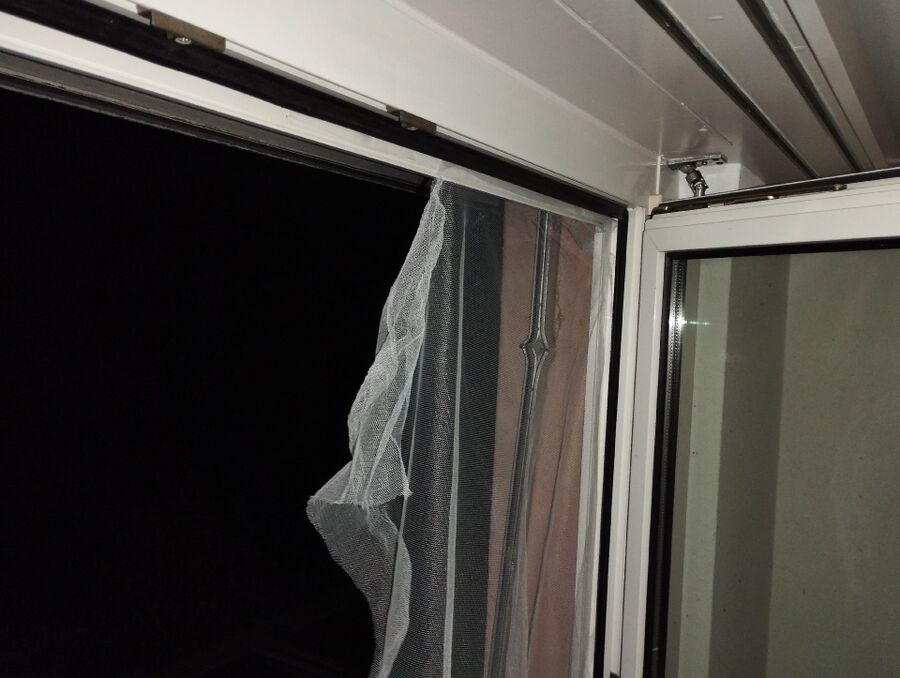  Bienennest entfernen