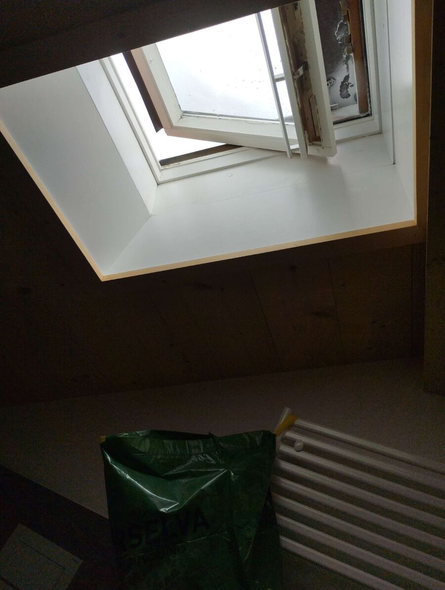  Bienennest entfernen.jpeg