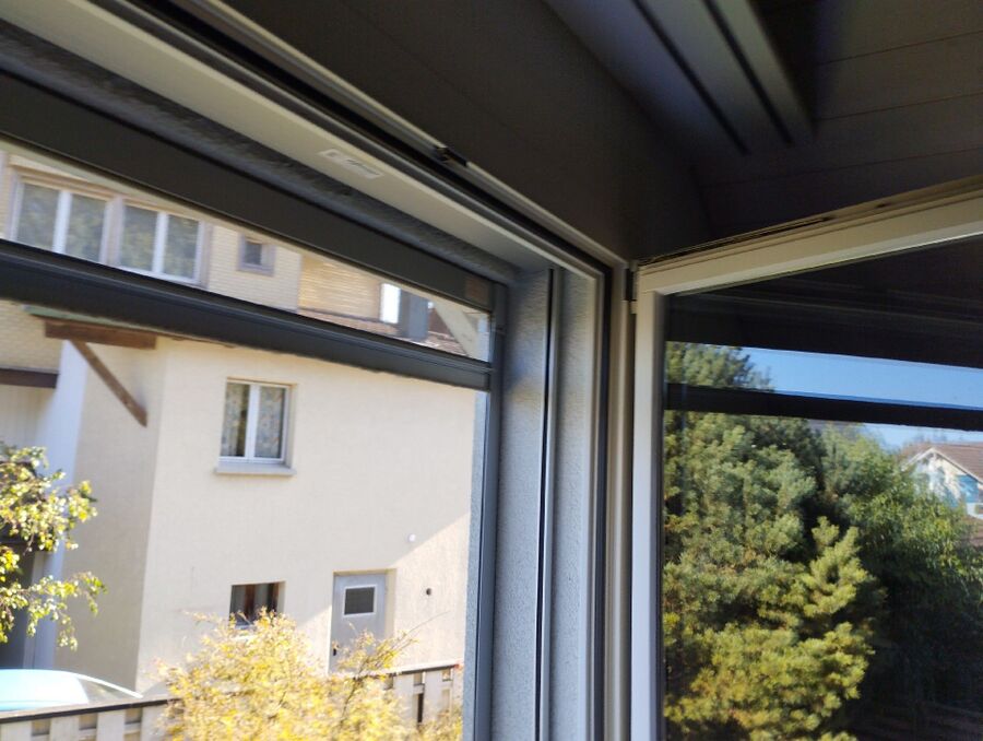 Bienen umsiedeln &  Bienennest entfernen 