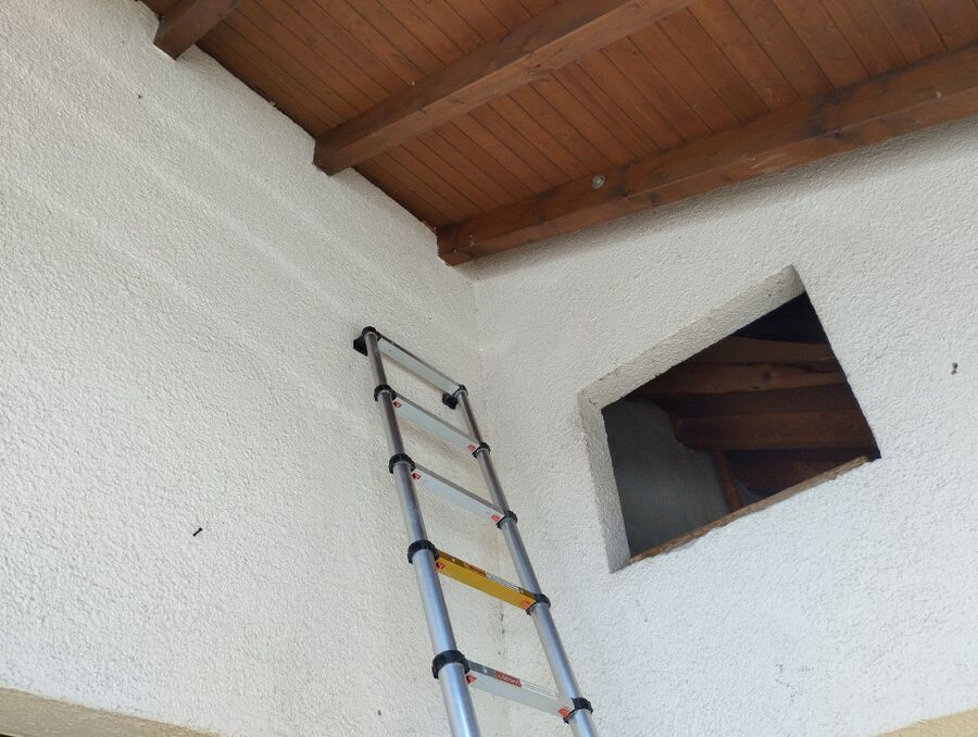  Bienennest entfernen