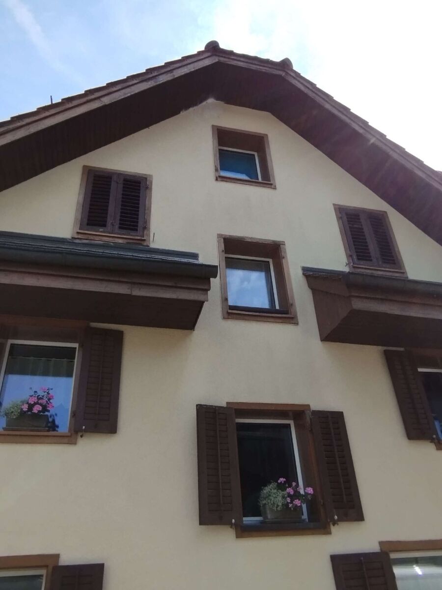  Bienennest entfernen.jpeg