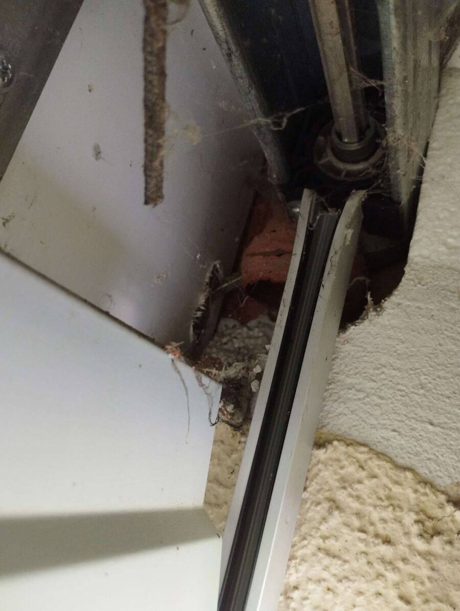  Bienennest entfernen