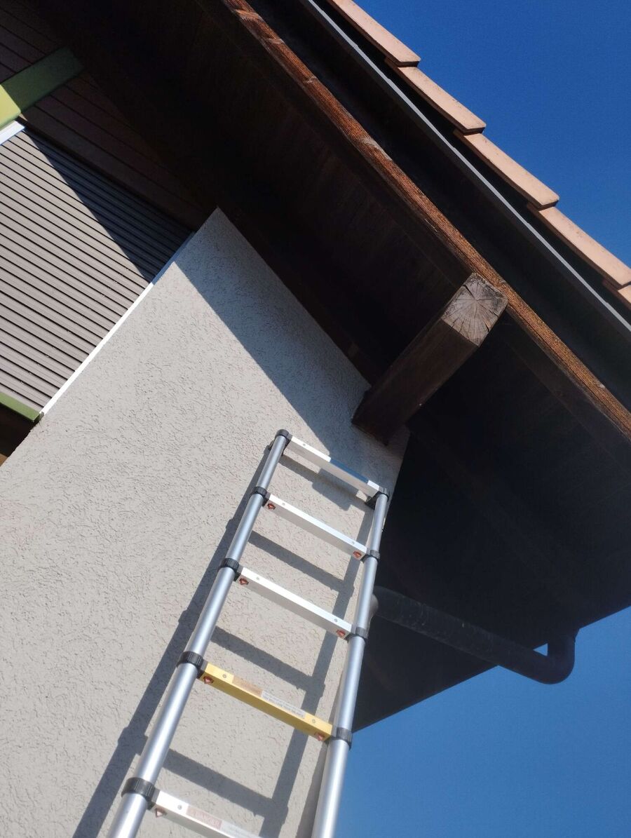  Bienennest entfernen.jpeg