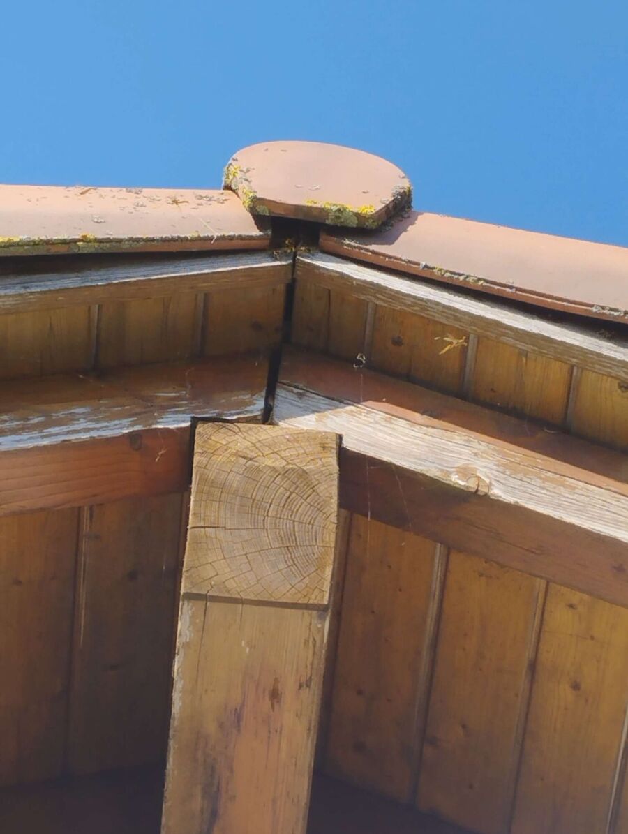  Bienennest entfernen