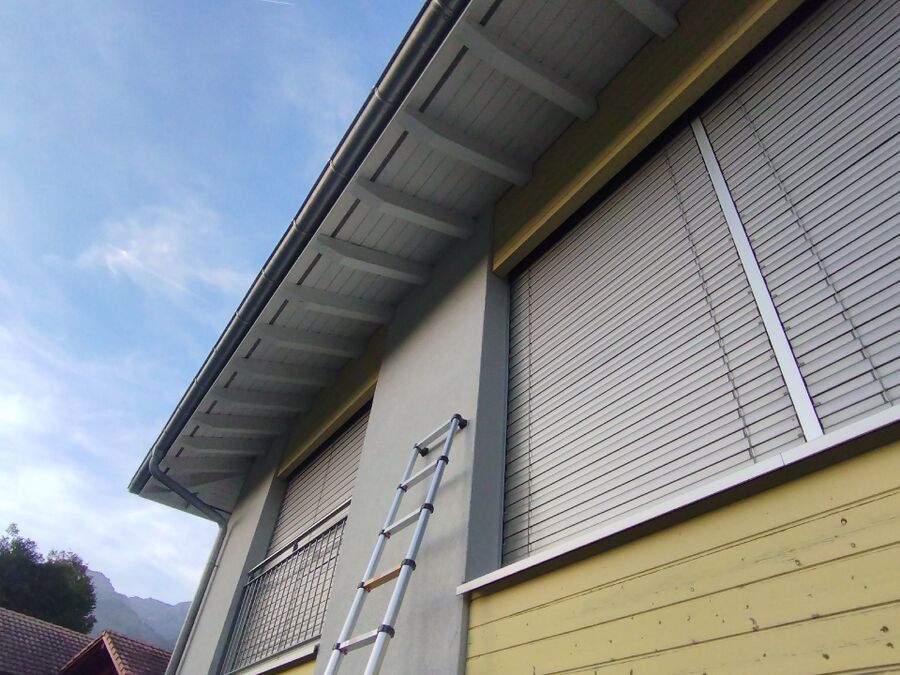  Bienennest entfernen.jpeg