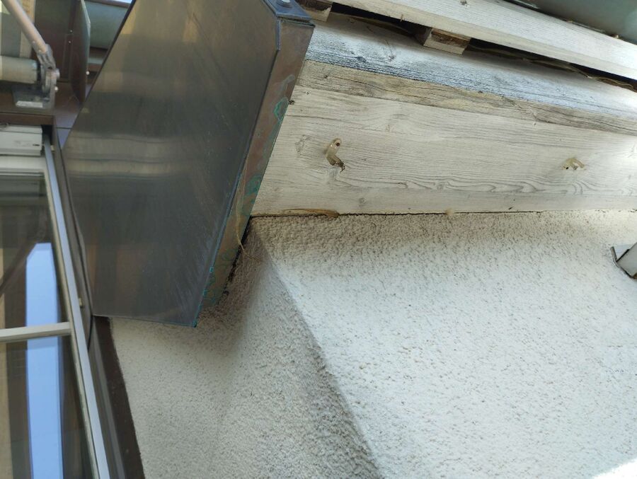  Bienennest entfernen.jpeg