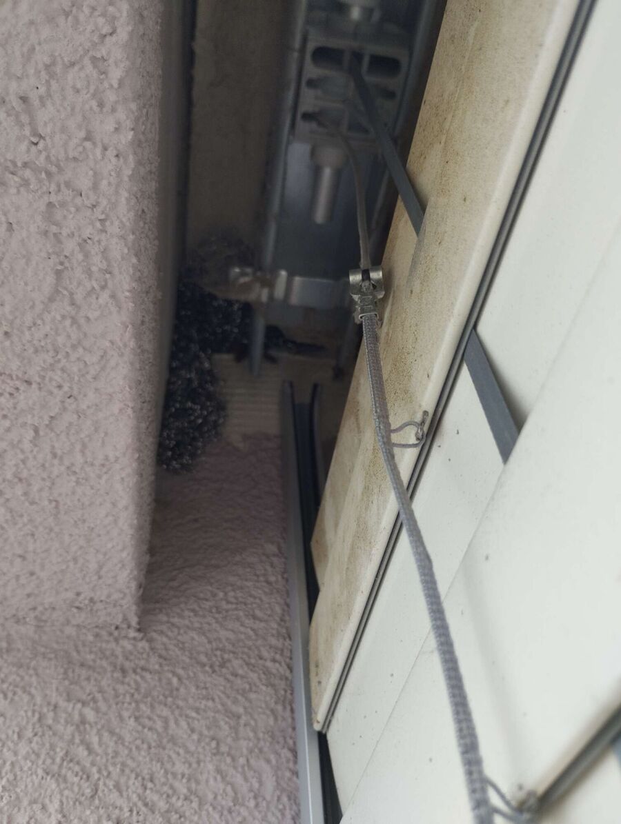 Bienen umsiedeln &  Bienennest entfernen 