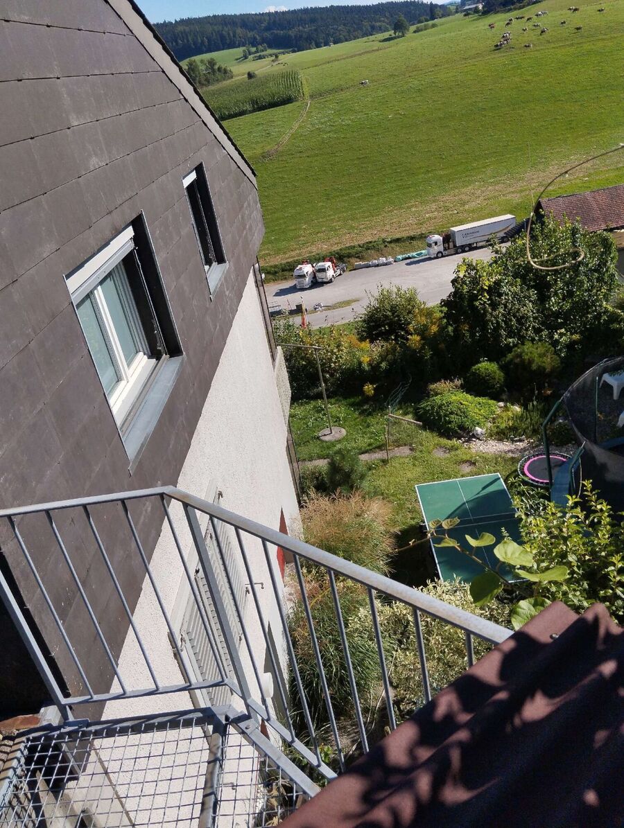  Bienennest entfernen.jpeg