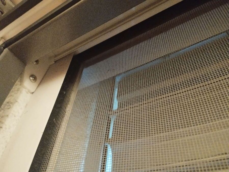  Bienennest entfernen.jpeg