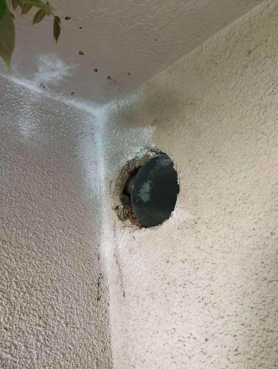  Bienennest entfernen.jpeg