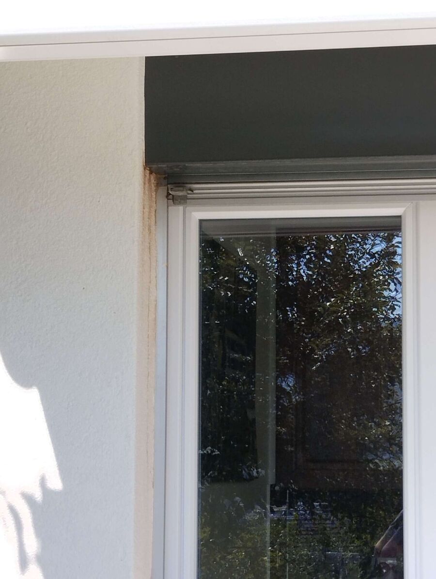  Bienennest entfernen.jpeg