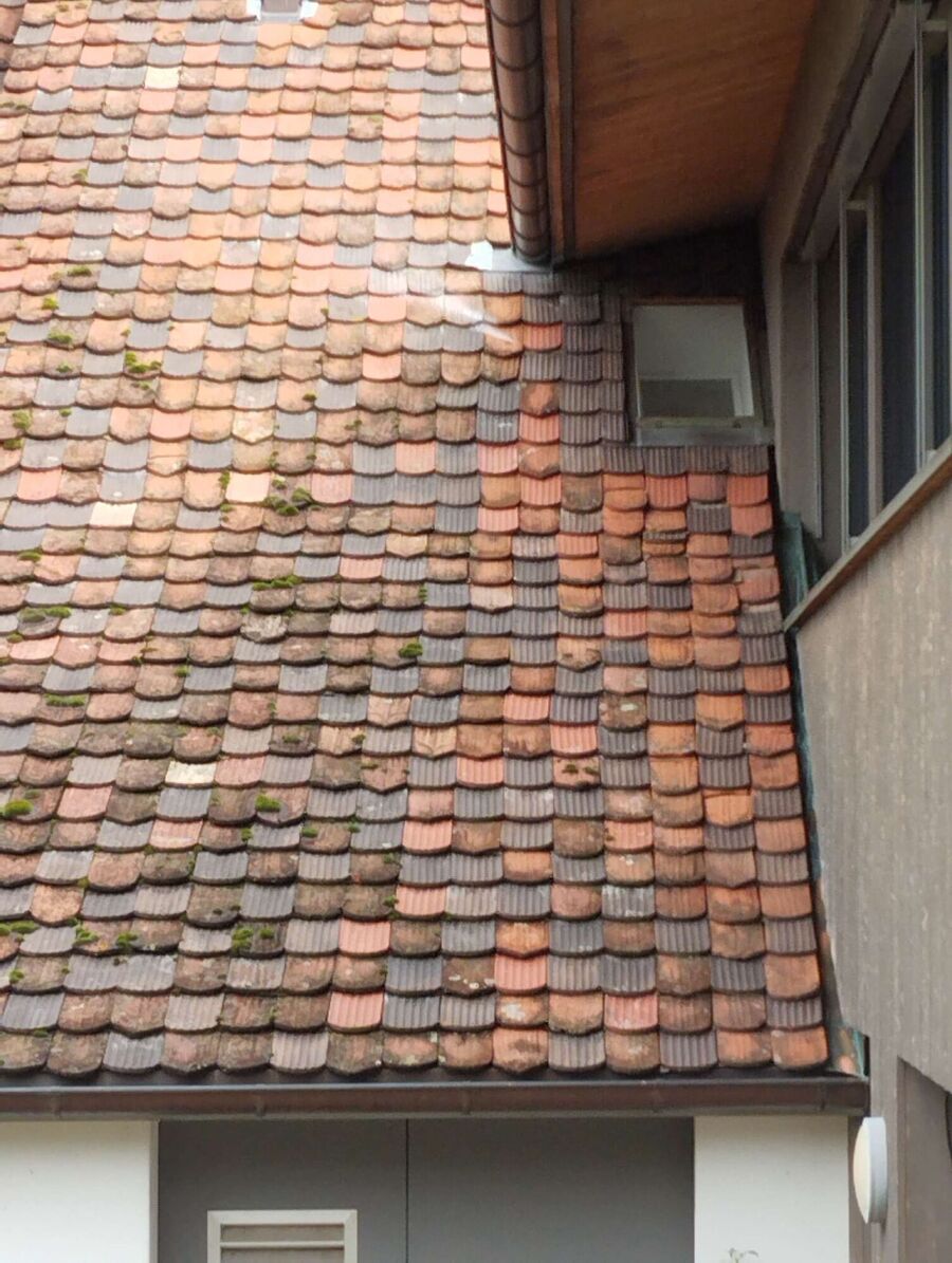  Bienennest entfernen.jpeg