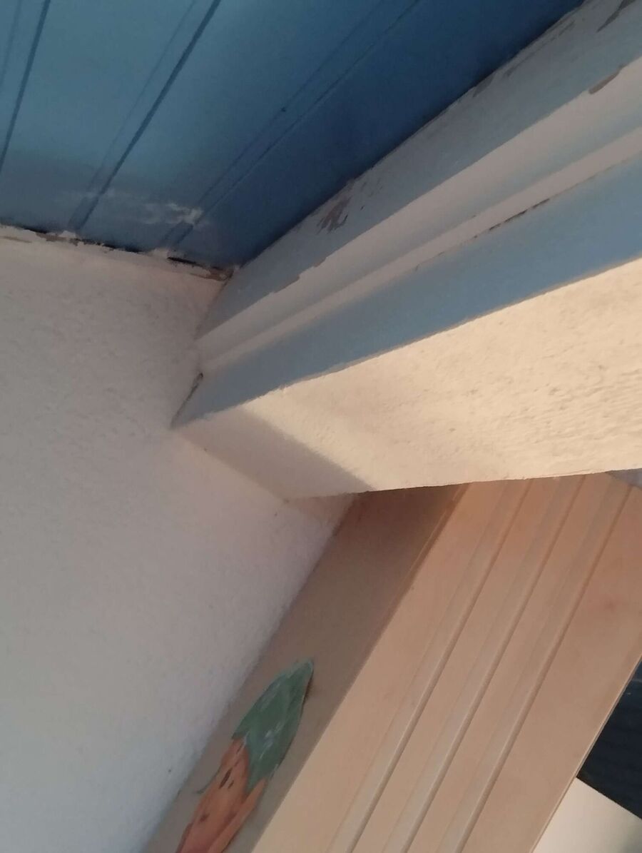  Bienennest entfernen