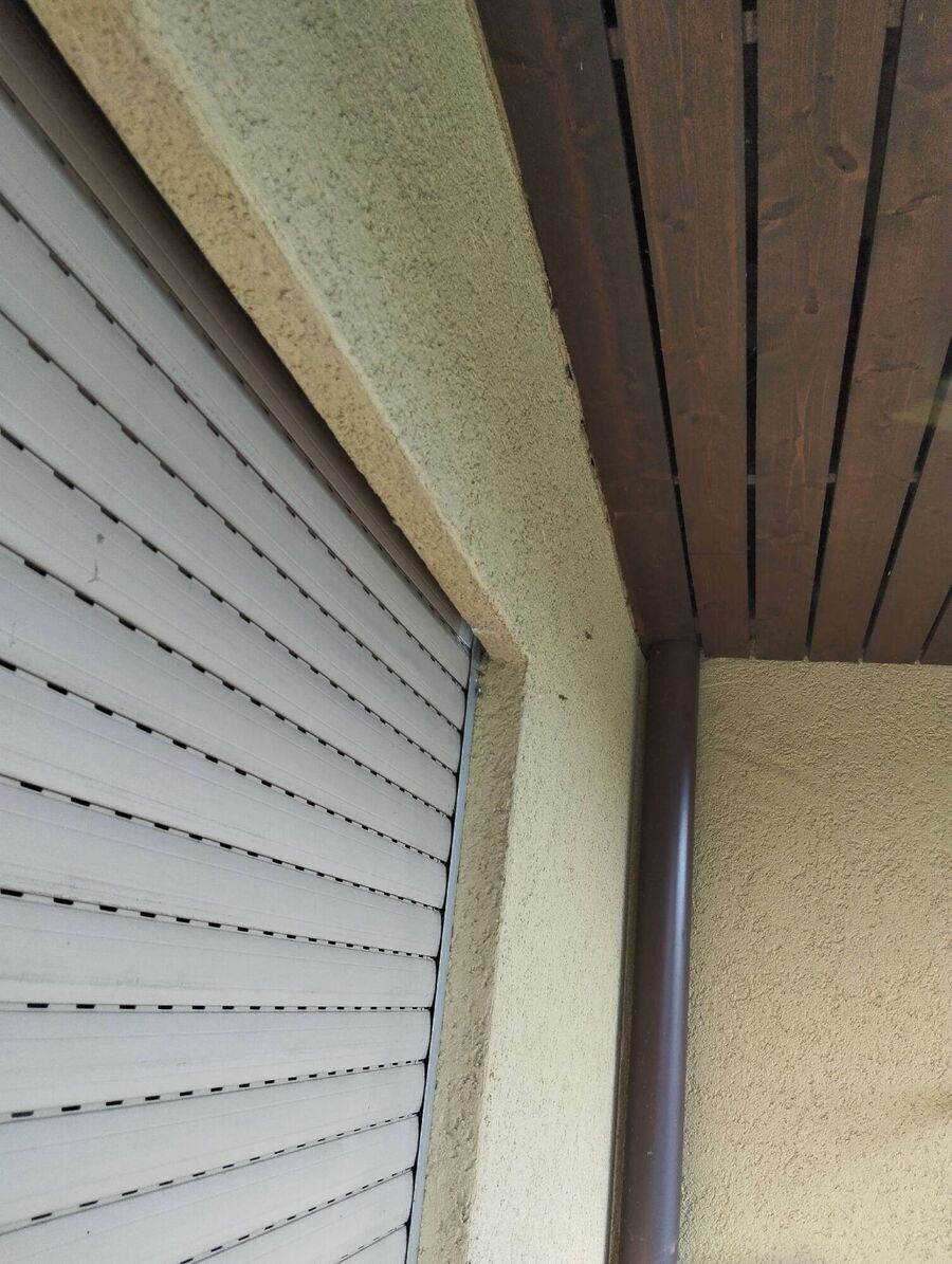 Bienen umsiedeln &  Bienennest entfernen 