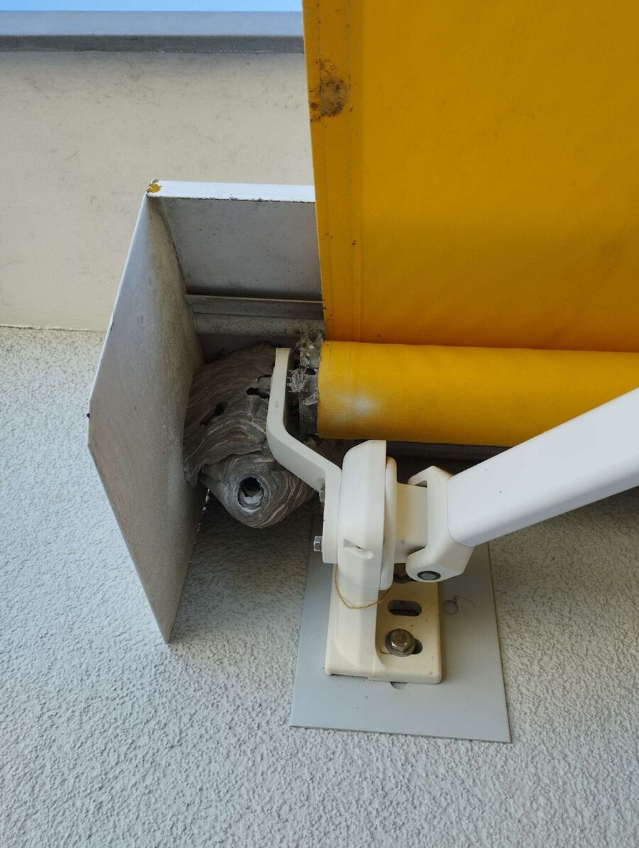  Bienennest entfernen