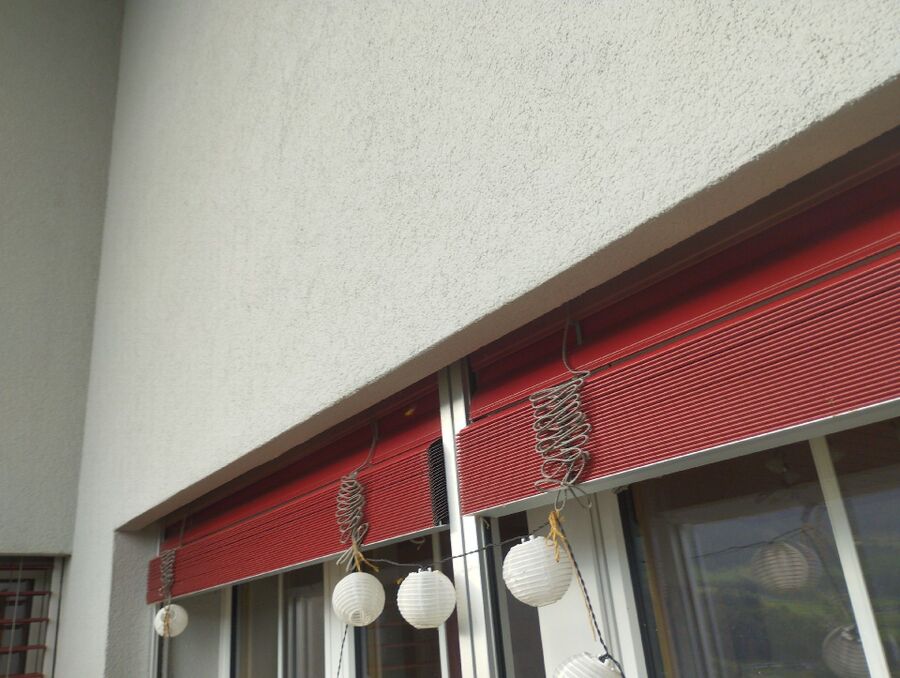 Bienen umsiedeln &  Bienennest entfernen 