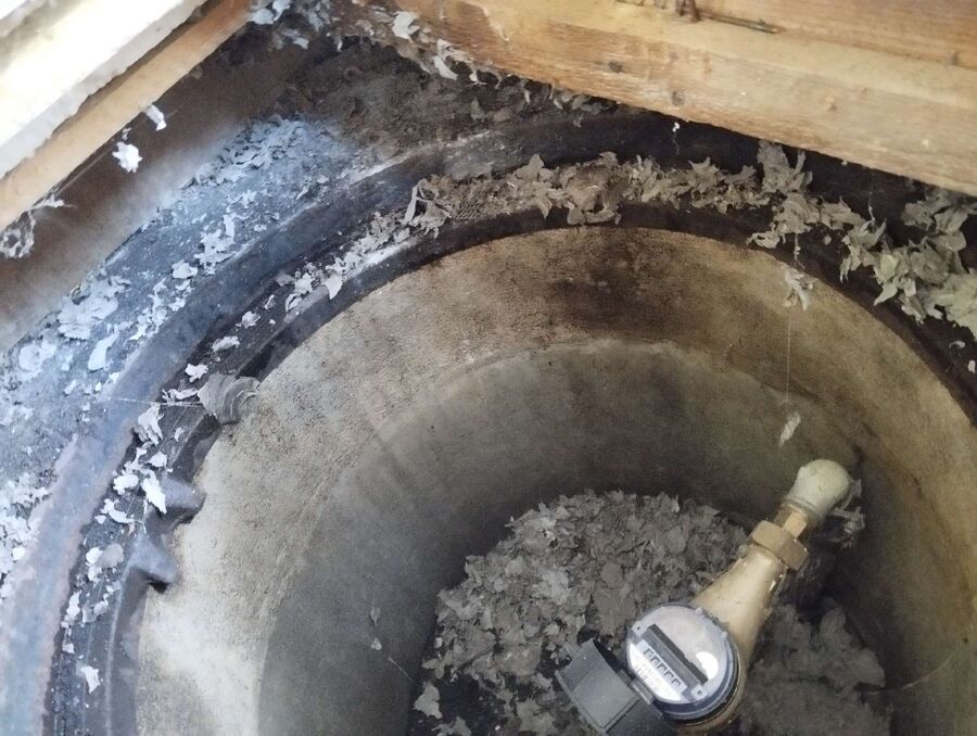  Bienennest entfernen