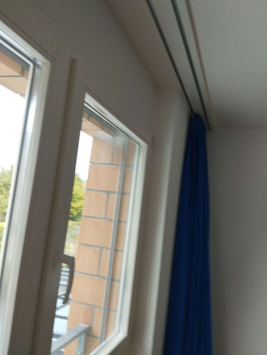  Bienennest entfernen.jpeg